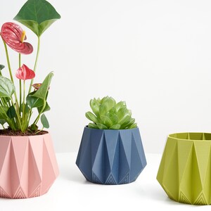 May include: Three geometric planters in pink, blue and green. The planters are made of a textured plastic and have a unique, folded design. The pink planter holds a red anthurium plant, the blue planter holds a succulent, and the green planter is empty.