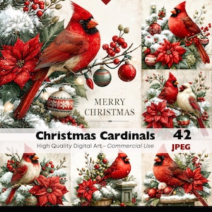 May include: A digital art collection featuring red cardinals, poinsettias, snow-covered pine branches, and Christmas ornaments. The text reads Merry Christmas, Christmas Cardinals, 42, High Quality Digital Art - Commercial Use, and JPEG.