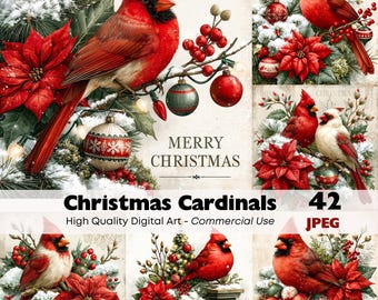 May include: A digital art collection featuring red cardinals perched on snowy pine branches with poinsettias, red berries, and Christmas ornaments. The text reads Merry Christmas, Christmas Cardinals, 42, and JPEG.
