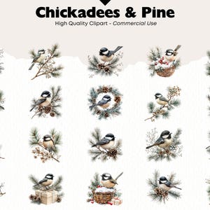 Puede incluir: Un conjunto de 20 ilustraciones de acuarela con carboneros y ramas de pino. Las aves se representan en varias poses, incluyendo posadas en ramas, sosteniendo pi&ntilde;as y sentadas en nidos. Las ilustraciones son perfectas para agregar un toque de encanto invernal a tus proyectos.
