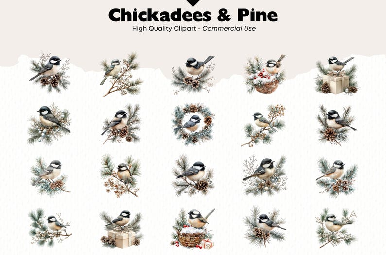 Puede incluir: Un conjunto de 20 ilustraciones de acuarela con carboneros y ramas de pino. Las aves se representan en varias poses, incluyendo posadas en ramas, sosteniendo pi&ntilde;as y sentadas en nidos. Las ilustraciones son perfectas para agregar un toque de encanto invernal a tus proyectos.