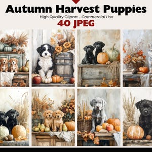 May include: A digital collection titled Autumn Harvest Puppies featuring 40 JPEG images of various puppies surrounded by pumpkins, dried wheat, and autumn foliage. The scenes include black, golden, and grey puppies in rustic settings.