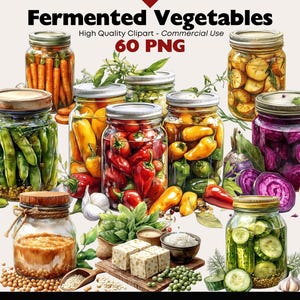 Fermented Vegetables Clipart Bundle Watercolor Pickled Food Graphics Rustic Glass Jars Digital Download Farmhouse Kitchen PNG Commercial Use