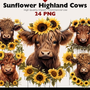 Bundle de cliparts vache Highland tournesol, vache fleur couronne PNG, aquarelle de bébé vache écossaise, Images automne Highland, usage Commercial