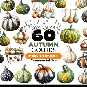 Op de afbeelding: Een verzameling van 60 hoogwaardige herfst pompoenen in verschillende vormen, maten en kleuren. De pompoenen zijn geschilderd in aquarel stijl en hebben een verscheidenheid aan patronen, waaronder stippen, strepen en swirls. De pompoenen zijn perfect voor herfstdecoratie of knutselen.