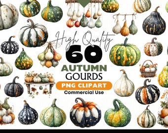 Autumn Gourds Clipart Bundle Watercolor Fall Harvest Graphics Digital Download Pumpkin Patch Png Clipart Paper Crafts Fall Nature Scrapbook