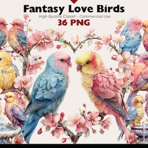 Pastell Vögel Clipart Bundle Fantasy Aquarell Vogel Clip Art Grafiken Hohe Qualität Papier Handwerk Png Printables Junk Journal Scrapbooking Kunst