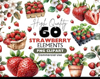Clipart de fresa PNG, elementos de bayas de verano, clip art de frutas botánicas, arte imprimible, descarga digital, scrapbooking, manualidades de papel