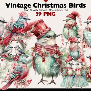 Vintage Christmas Birds Clipart Bundle Fantasy Christmas Birds Watercolor Png Christmas Graphics Robin Santas Hat Paper Crafts Png Scrapbook