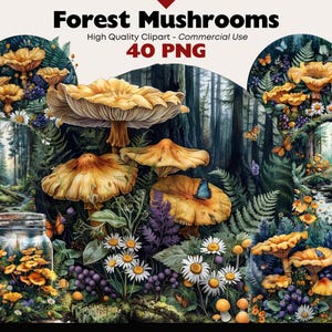 Bos paddestoel clipart bundel fantasie cantharellen aquarel illustraties wilde bossen afdrukbare grillige paddestoel PNG digitale download