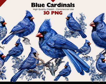 Christmas Blue Cardinal Clipart Bundle, Winter Bird Watercolor, Birds PNG, Birds on Branches Graphics, Cardinal PNG Digital Download Bird