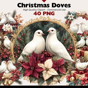 Bundle de cliparts Noël colombe hiver oiseau aquarelle deux oiseaux PNG oiseaux sur branches enneigées graphiques Cardinal Téléchargement numérique artisanat en papier