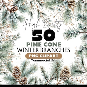Pacchetto di clipart di rami di pino Acquerello Pino invernale PNG Decorazioni per le feste Rami spogli Grafica Pigne di Natale Elementi ad acquerello