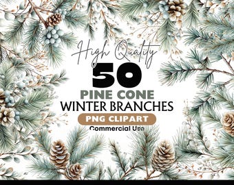 Pine Branch Clipart Bundle Watercolor Winter Pine PNG Holiday Decorations Bare Branches Graphics Christmas Pinecones Watercolor Elements