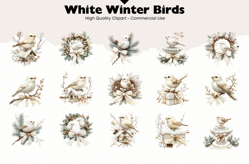 White Winter Bird Clipart Bundle Christmas Bird Watercolor Two Birds on ...