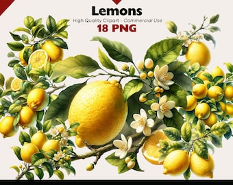 Bundle de cliparts citrons, aquarelle d'agrumes jaunes, citron frais imprimable, citrons sur branche en téléchargement numérique, citrons PNG, art PNG d'agrumes