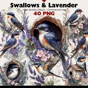 Swallows in Lavender Clipart Bundle Spring Birds PNG Watercolor Graphics Floral Nature Scene Digital Download Wild Animals Commercial Use