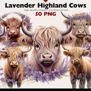 Lavender Highland Cow Clipart Bundle, Watercolor Cow Violet Flower PNG, Scottish Baby Cow Graphics, Highland Images, Junk Journal, Scrapbook