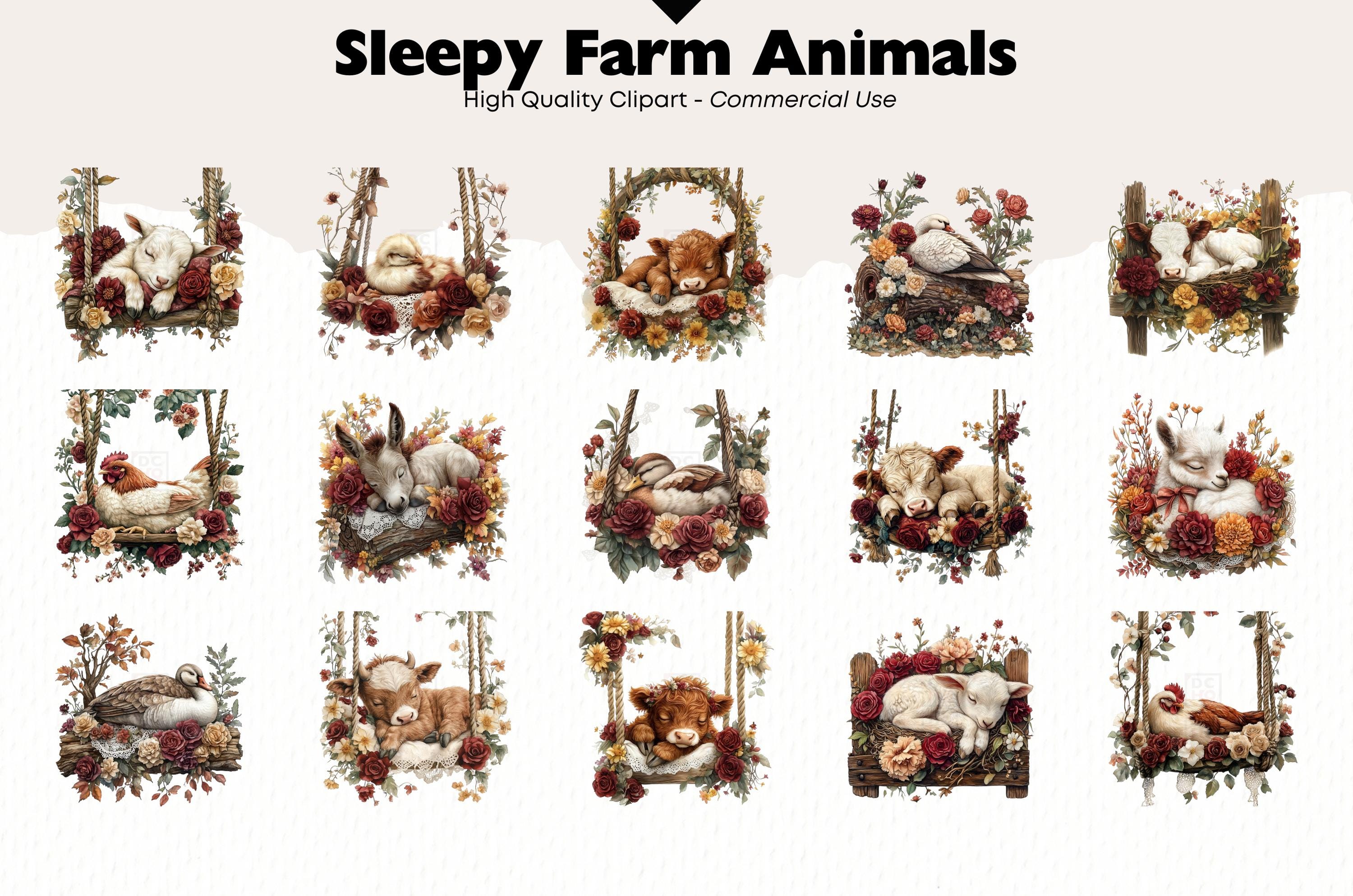 Farm Animal Clipart Bundle Bundle Cute Wildlife Png Digital Download ...