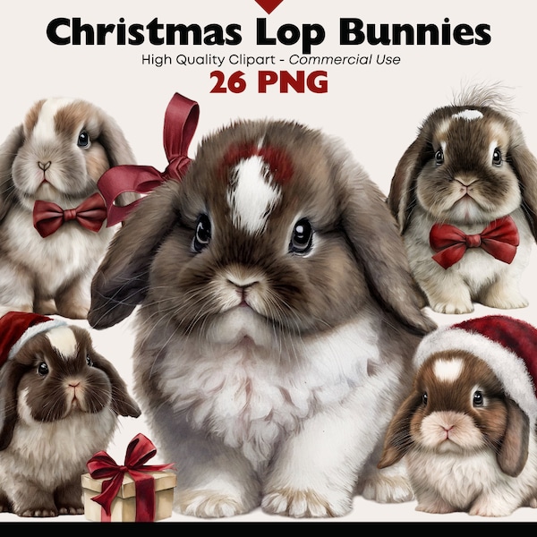 Clipart de conejito de Navidad, acuarela de conejo de orejas caídas, descarga digital de conejitos lindos, PNG navideño, conejo de orejas largas, conejito bebé imprimible