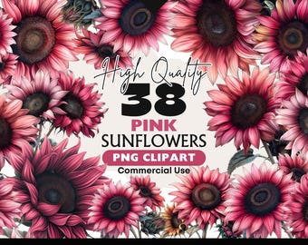 Rosa Sonnenblumen Clipart-Bundle, Aquarell Sonnenblumen PNG, rosa botanische Blume Bilder, Sonnenblume digitaler Download kommerzielle Nutzung Grafiken