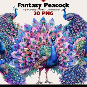 Bundle de cliparts paon fantastique, graphiques d'oiseaux aquarelle, Illustration d'oiseaux sauvages, paon PNG, téléchargement numérique, scrapbooking, créations en papier