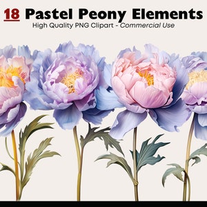 Pastell Pfingstrosen Clipart-Bundle, Schnittblumen Elemente, Aquarell Pfingstrose Grafiken, Blumenarrangement PNG, Florale digitale Aufkleber, Scrapbook