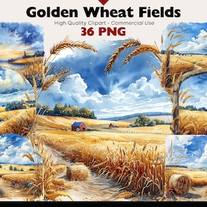 Könnte beinhalten: Ein Aquarellbild eines goldenen Weizenfeldes mit einem roten Schuppen in der Ferne. Der Himmel ist blau mit weißen Wolken. Das Bild ist Teil eines Sets mit 36 PNG-Bildern.