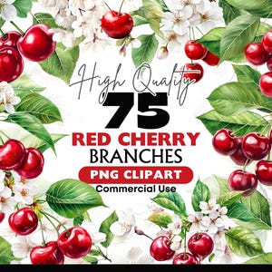 Op de afbeelding: Waterverfillustratie met 75 rode kersentakken met groene bladeren en witte bloesems. De afbeelding bevat de tekst "High Quality 75 Red Cherry Branches PNG Clipart Commercial Use."