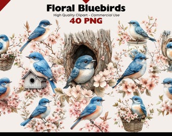 Bluebirds Cherry Blossom Clipart Bundle Spring Animals Digital Download PNG Bird Graphics Commercial Use Watercolor Papercrafts Scrapbooking