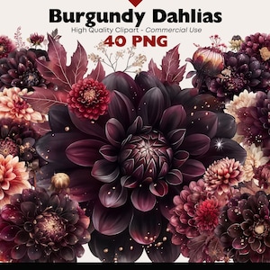 Ensemble de cliparts dahlias Bourgogne automne mariage aquarelle Png fleur graphiques téléchargement numérique récolte d'automne Dahlia Invitation Clipart ensemble
