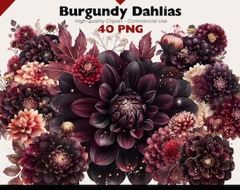 Burgundy Dahlias Clipart Bundle Fall Wedding Watercolor Png Flower Graphics Digital Download Autumn Harvest Dahlia Invitation Clipart Set