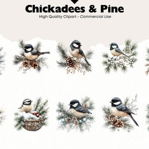 Puede incluir: Un conjunto de diez ilustraciones digitales que representan a carboneros comunes posados en ramas de pino con bayas de invierno y pi&ntilde;as. Las aves est&aacute;n representadas en un estilo acuarela con detalles realistas.