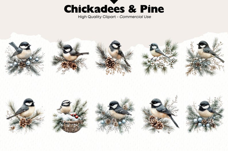 Puede incluir: Un conjunto de diez ilustraciones digitales que representan a carboneros comunes posados en ramas de pino con bayas de invierno y pi&ntilde;as. Las aves est&aacute;n representadas en un estilo acuarela con detalles realistas.
