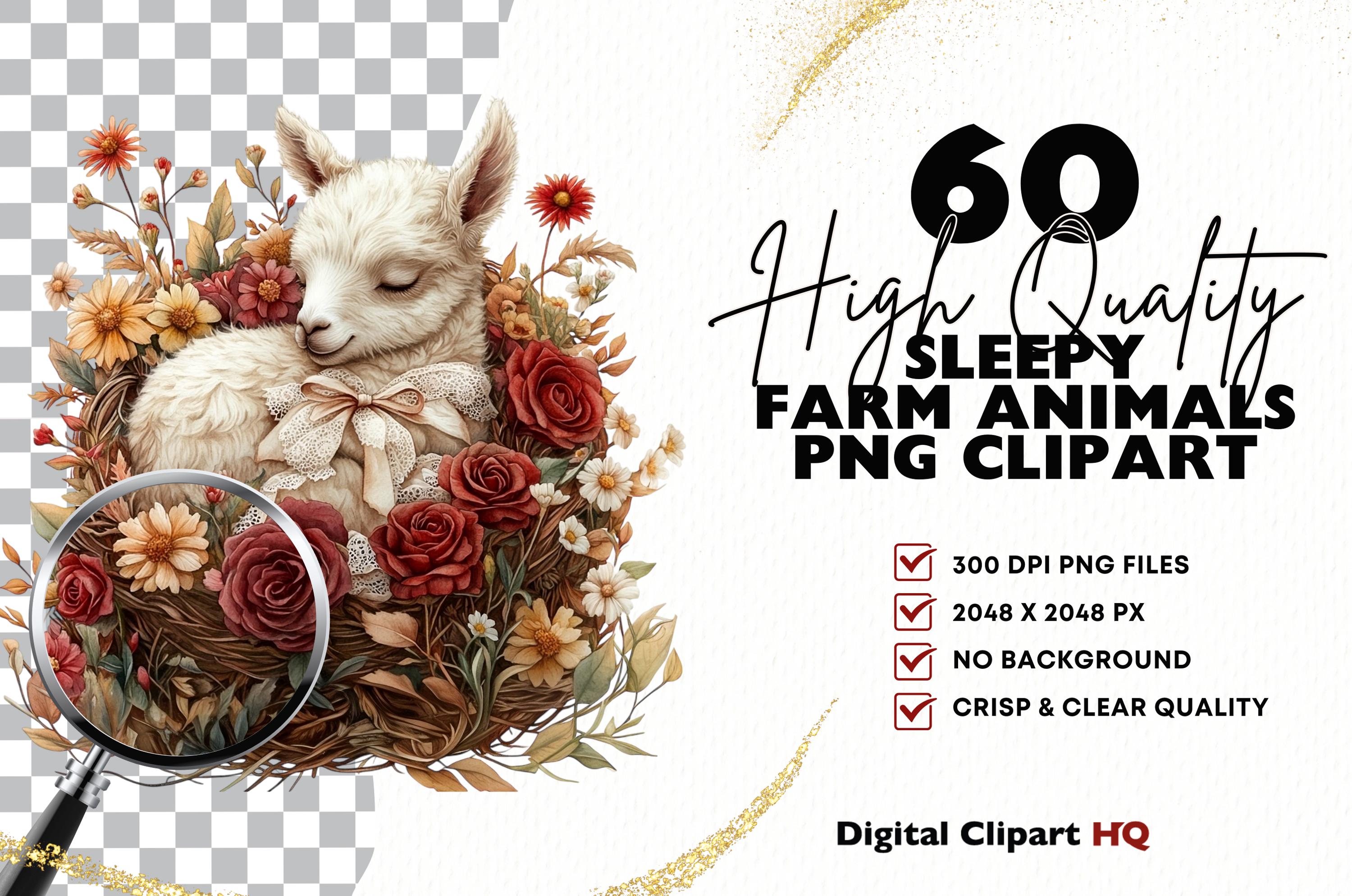 Farm Animal Clipart Bundle Bundle Cute Wildlife Png Digital Download ...