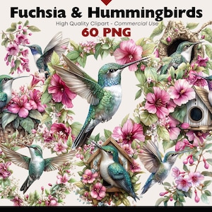 Può includere: Un'illustrazione digitale di 60 immagini PNG con fiori di fucsia e colibrì. I colibrì sono raffigurati in varie pose, alcuni appollaiati su rami e altri in volo. I fiori sono di un rosa e viola vibrante, e lo sfondo è un bianco morbido.