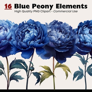 Blaue Pfingstrosen Clipart Bundle, realistische Blumen Elemente, Aquarell Pfingstrose PNG Grafiken, Blaue Hochzeit PNG, Floral Digital Download