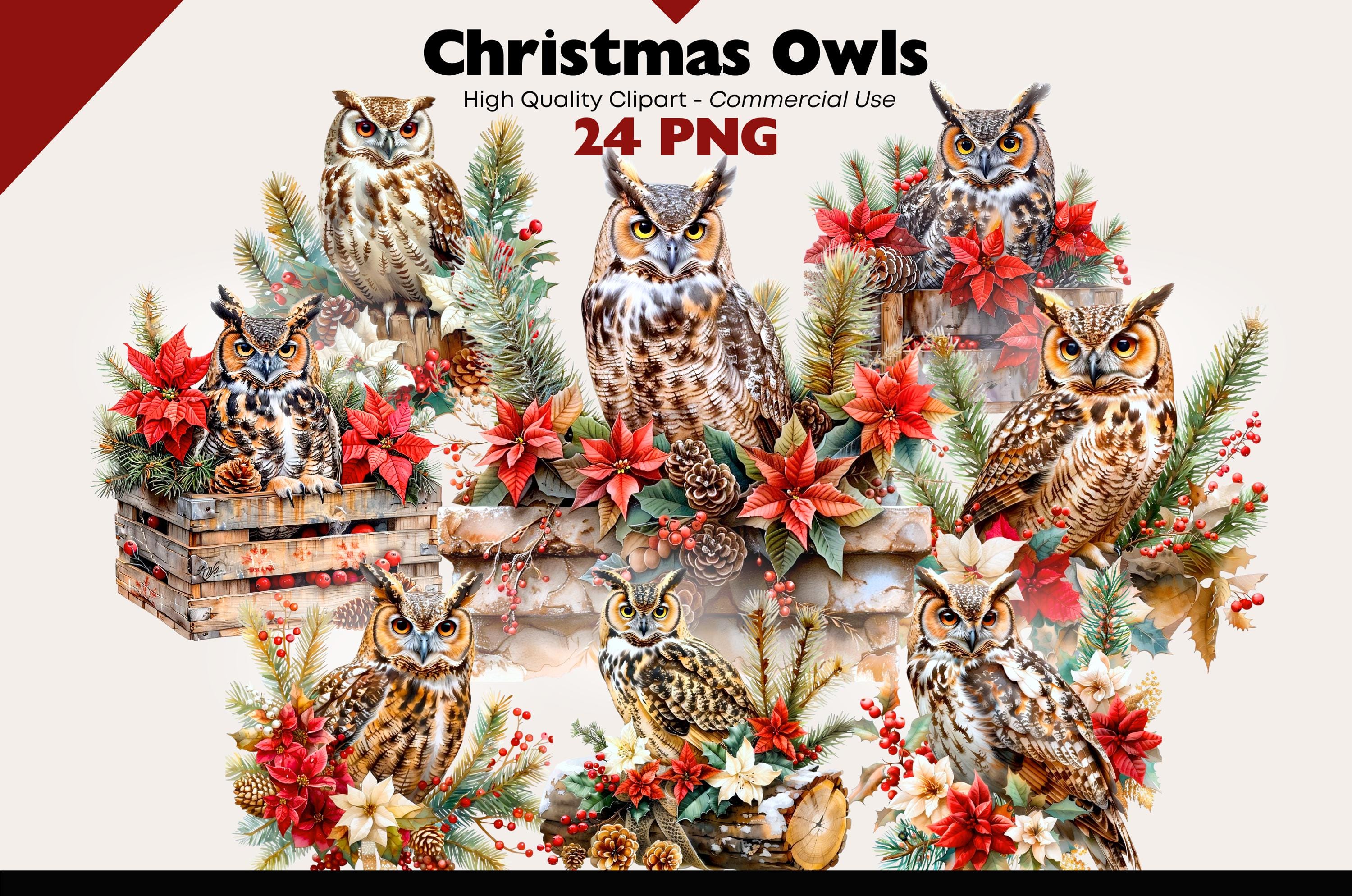 Christmas Owl Clipart, Winter Owl PNG, Poinsettia Animal Illustration, Woodland Christmas Decor Art,