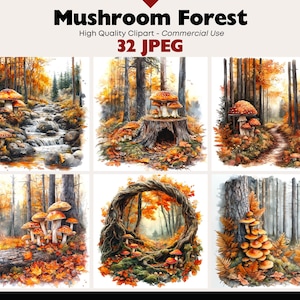 Può includere: Una collezione di illustrazioni ad acquerello raffiguranti foreste di funghi. Le immagini mostrano varie scene con funghi, alberi e fogliame autunnale nelle tonalità dell'arancione, del marrone e del verde. Il testo "Mushroom Forest" è in alto.