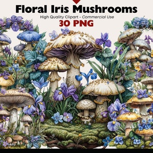 Bundle de cliparts champignon fantastique, aquarelle florale de champignons Iris, champignons de conte de fées PNG en téléchargement numérique, créations en papier, scrapbooking