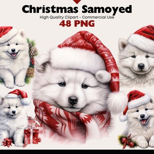 Pacote de clipart de cachorro de Natal, aquarela de samoiedo PNG, gráficos de cachorrinho fofo, adesivos digitais de cachorrinho branco, filhote de chapéu de Papai Noel, clipart de inverno