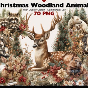 Weihnachten Waldtier Clipart Bundle Traditionelle Winter Grafiken Digitaler Download Niedlich Weihnachten Aquarell Clipart Urlaub Yuletide Png