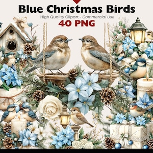 Pacote de clipart de pássaro de Natal azul Pássaro de inverno Aquarela PNG Pássaros em galhos nevados Gráficos Cardinal Digital Download Papel Artesanato