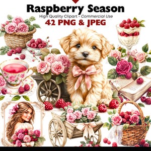 PNG akvarell hallon clipart, dessert PNG, kakburkgrafik, rosa glass, högkvalitativ fruktgrafik, scrapbooking matelement