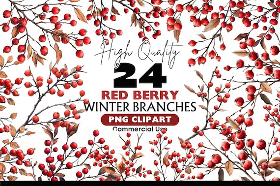 Red Berry Branch Clipart Bundle Watercolor Winter Branches PNG Holiday Decorations Bare Holly Branches Graphics Christmas Holly Wreath Image