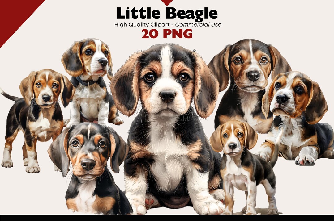 Beagle Dog Clipart Bundle Watercolor Puppy PNG Graphics Digital ...