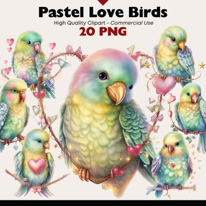 Pacchetto di clipart di uccelli pastello, PNG di pappagallo, illustrazioni di uccelli ad acquerello, download digitale di uccelli PNG di San Valentino, immagini di uccelli dell'amore stravaganti