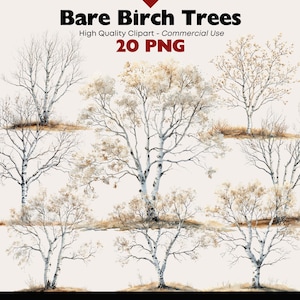 Puede incluir: Ilustración en acuarela de abedules desnudos. La imagen presenta varios árboles con corteza blanca y ramas delicadas, sobre un fondo neutro. El texto "Bare Birch Trees" y "20 PNG" se muestra en la parte superior.