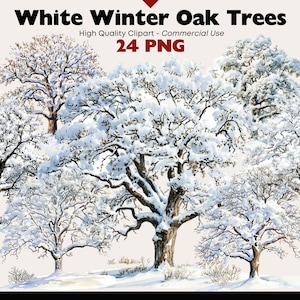 Bundle de cliparts arbre hiver Chêne enneigé graphiques en téléchargement numérique PNG Illustrations de la nature hivernale aquarelle paysage boisé givré