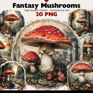 Fantasy paddestoel clipartbundel, Fantasy vliegenzwam aquarel illustraties, sprookje afdrukbare, grillige paddestoel PNG digitale download